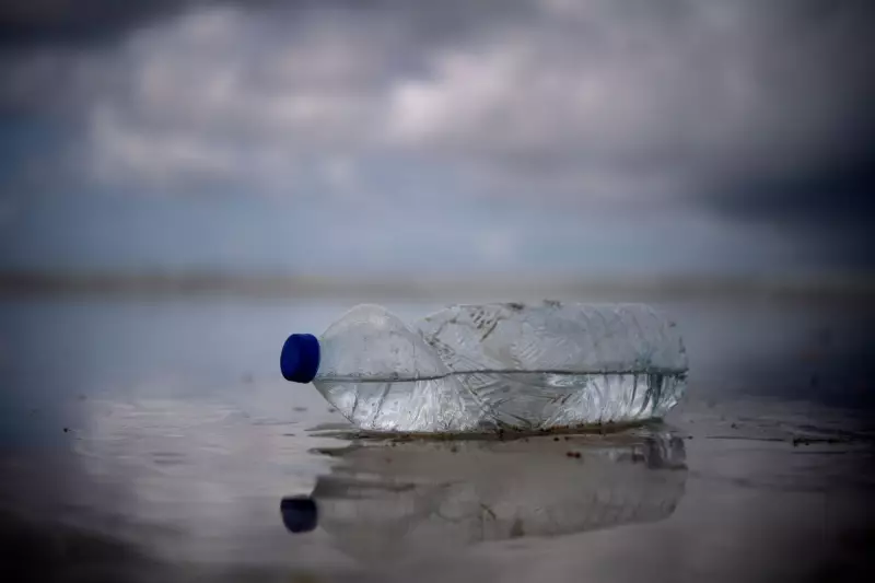 Plastic Bottle Particles Kill Pancreatic Cells, Trigger Diabetes Risk