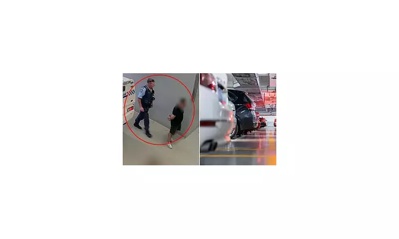 Police arrest two men over 18 thefts from elderly drivers in NSW car parks