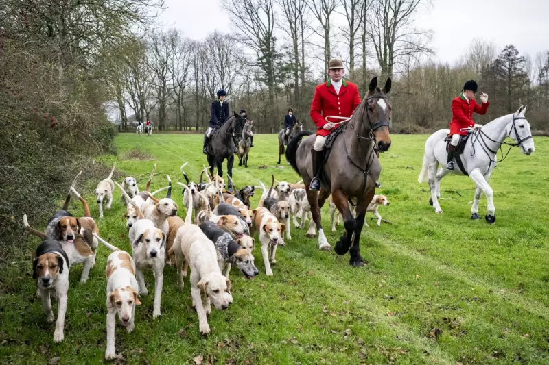 Poll: 62% of Britons Back Ban on Trail Hunting as Labour Faces Rural Test