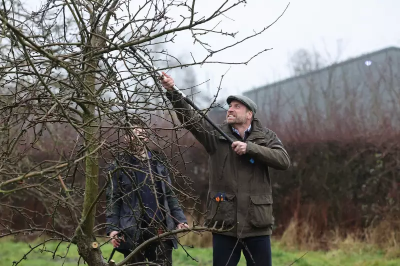 Prince William Prunes Trees & Feeds Sheep on Farm Visit to Boost Mental Health