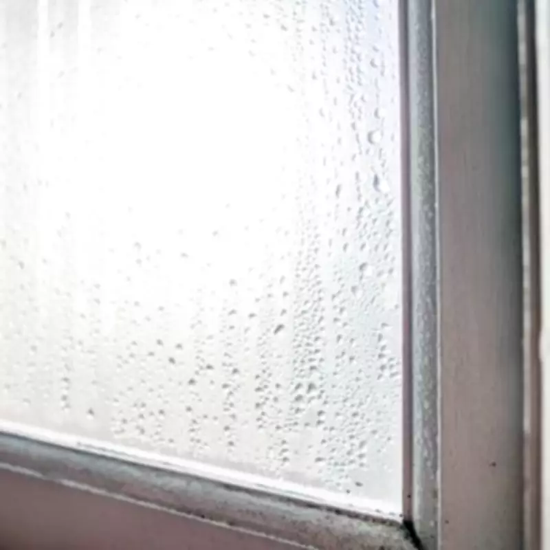 Professional Cleaner's 15-Minute Window Condensation Fix Tested and Verified