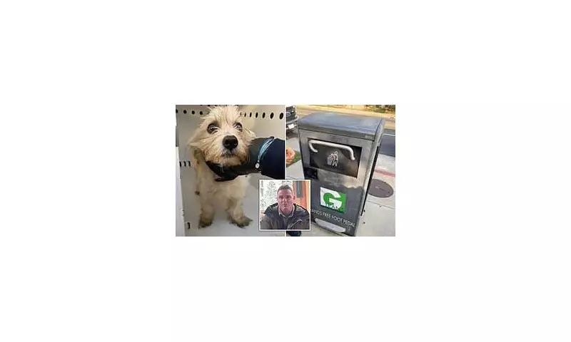 Puppy Rescued from US Trash Compactor Finds Home with Police Officer