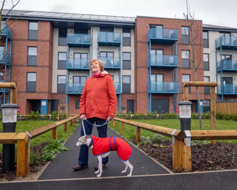 Rainbow Way: Somerset's Council Housing Success Story Highlights National Challenges