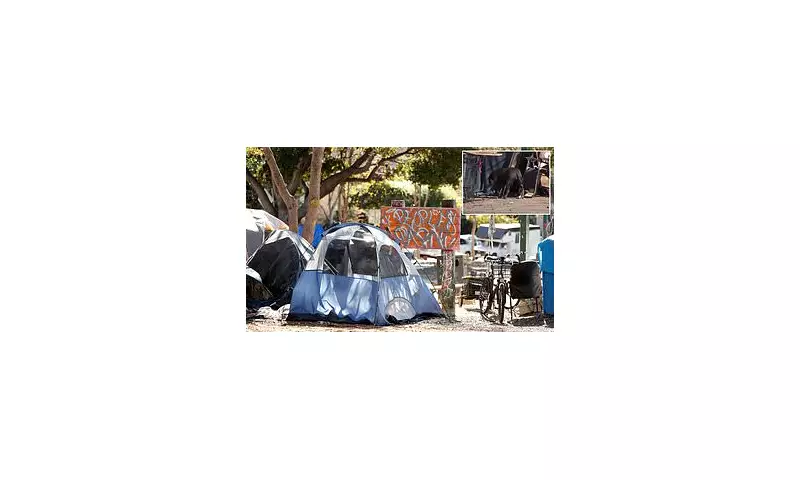 Rare Tropical Disease Leptospirosis Found in California Homeless Encampments