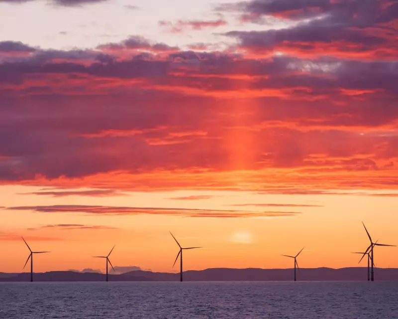Record 8.4GW Offshore Wind Auction Proves Clean Power Doubters Wrong