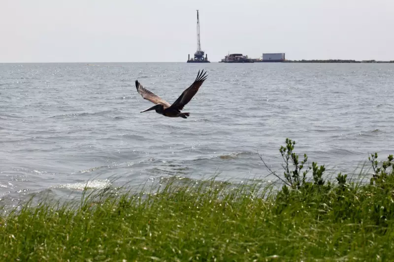 Record $9.6m Fine for US Firm After Major Gulf of Mexico Oil Spill