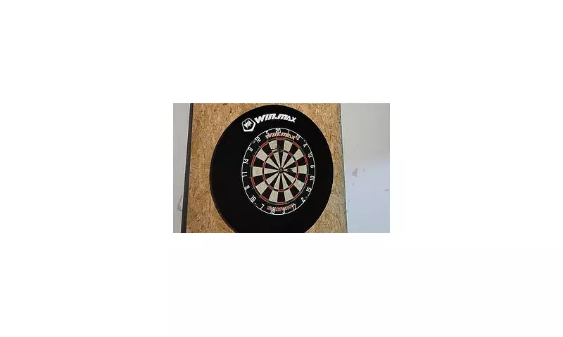 Reddit's Dartboard Puzzle: Can You Spot the Missing Dart in 30 Seconds?