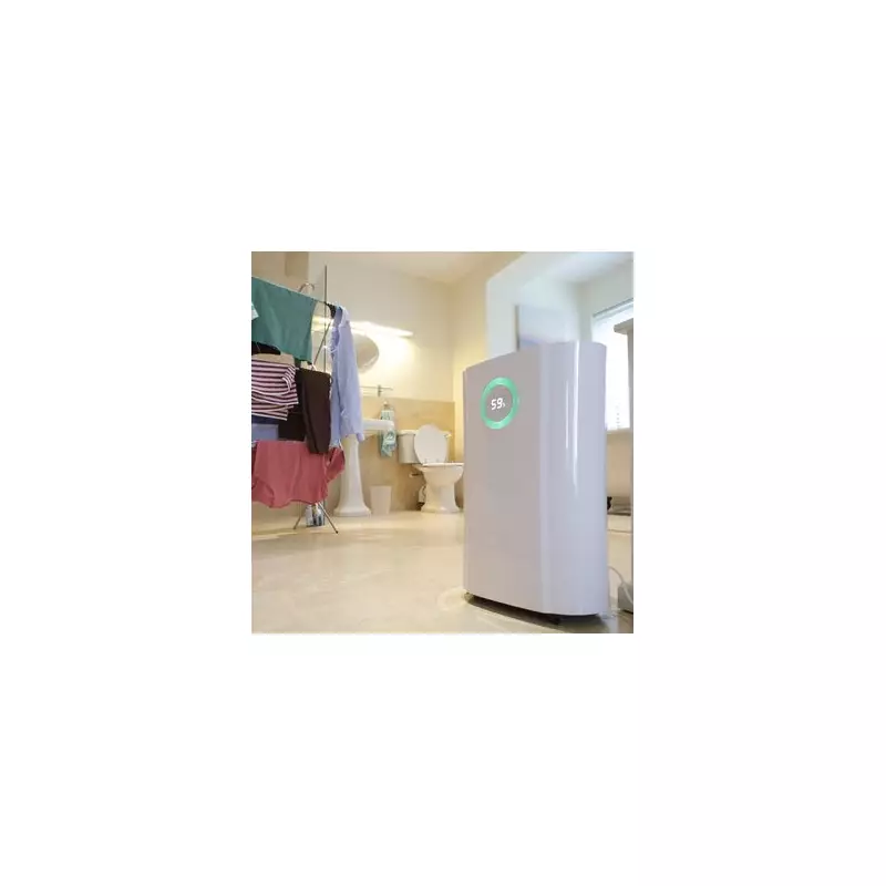 Revolutionise Your Laundry: Dehumidifier & Fan Dry Clothes in Just 2 Hours