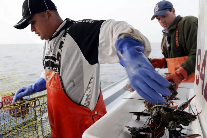 Rhode Island Tops US Employee Happiness Rankings with 46% Higher Score