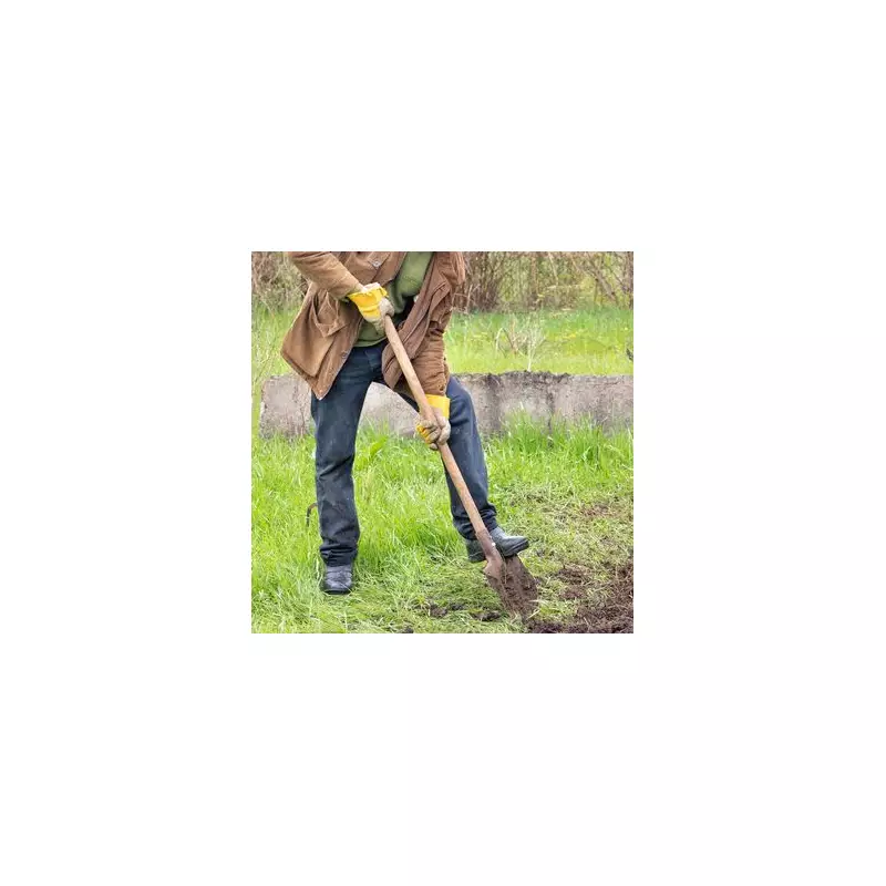 RHS Issues Critical January Lawn Care Warning: Avoid Frosty Footprints