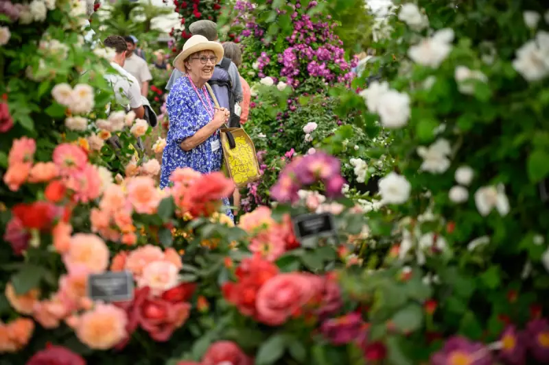 RHS Unveils Emergency Water Strategy for Gardens Amid Drought Crisis