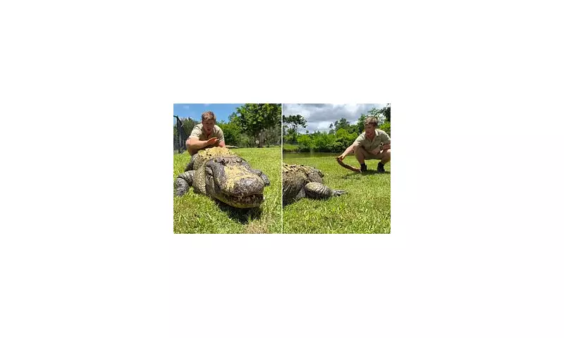 Robert Irwin's Gator Hug Stuns Fans: 14ft Reptile & DWTS Reunion