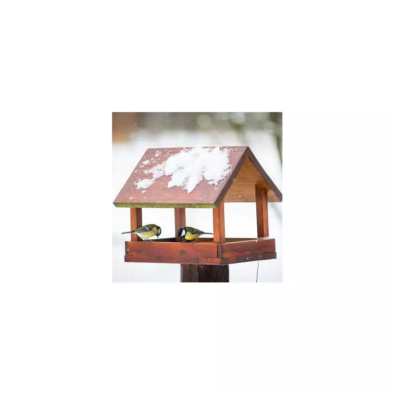 RSPB Urges Halt to Bird Tables to Curb Winter Disease Spread