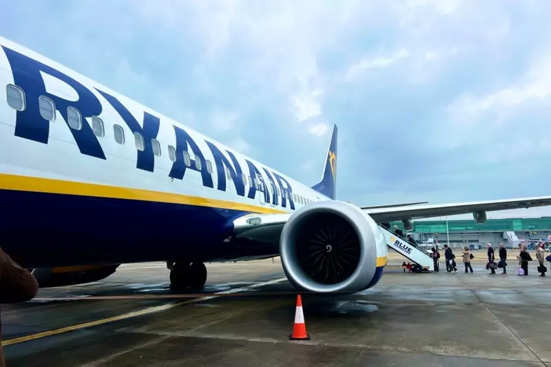 Ryanair's 'Big Idiot' Seat Sale Takes Swipe at Elon Musk in Escalating Feud