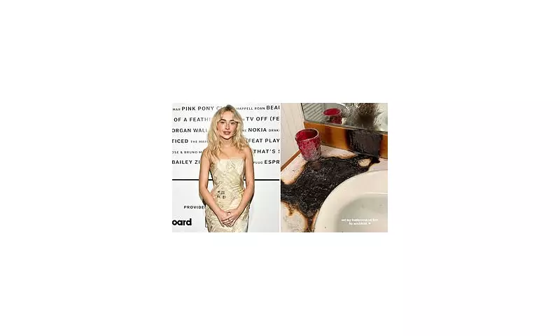 Sabrina Carpenter Sets Bathroom on Fire, Shares Charred Sink Photo on Instagram