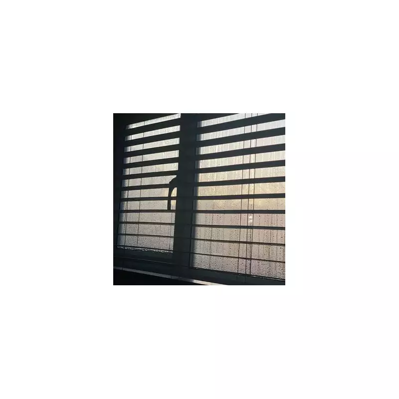 Salt vs Baking Soda: The Ultimate Window Condensation Test Reveals Clear Winner