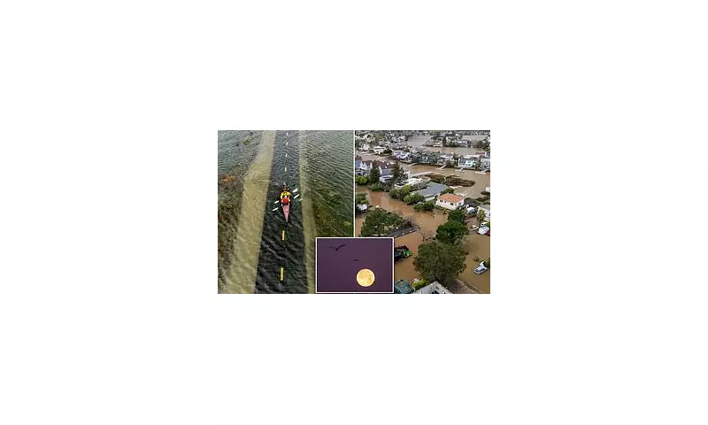 San Francisco Floods: 'Super Moon Trifecta' Submerges Roads, Sparks Chaos