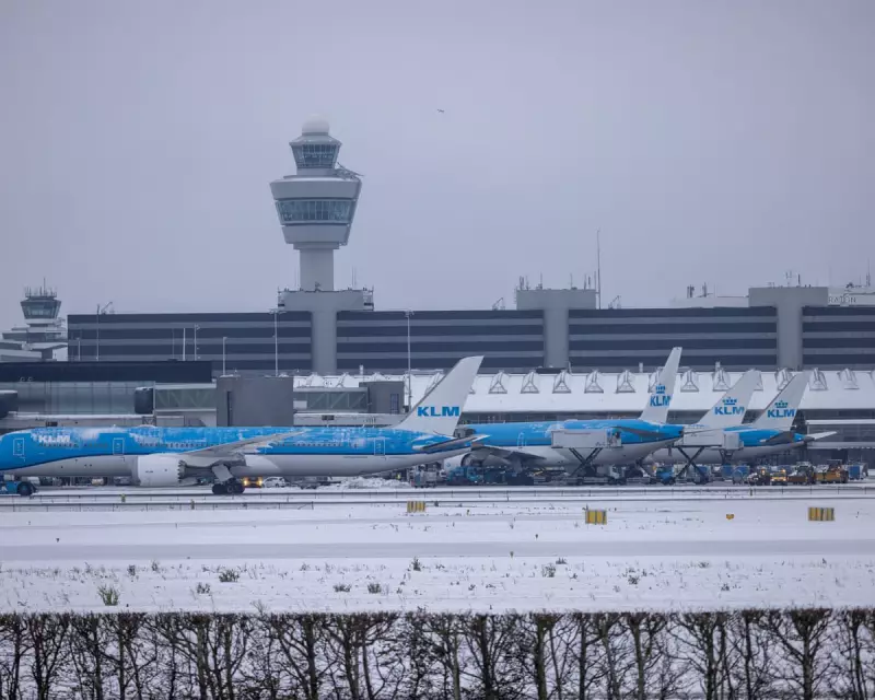 Schiphol Cancels 700+ Flights as Deep Freeze Grips Europe