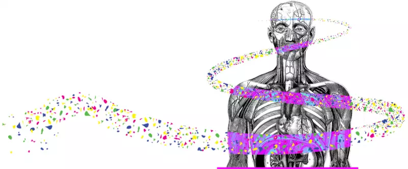 Scientific Rigour and the Microplastics Debate: Experts Respond