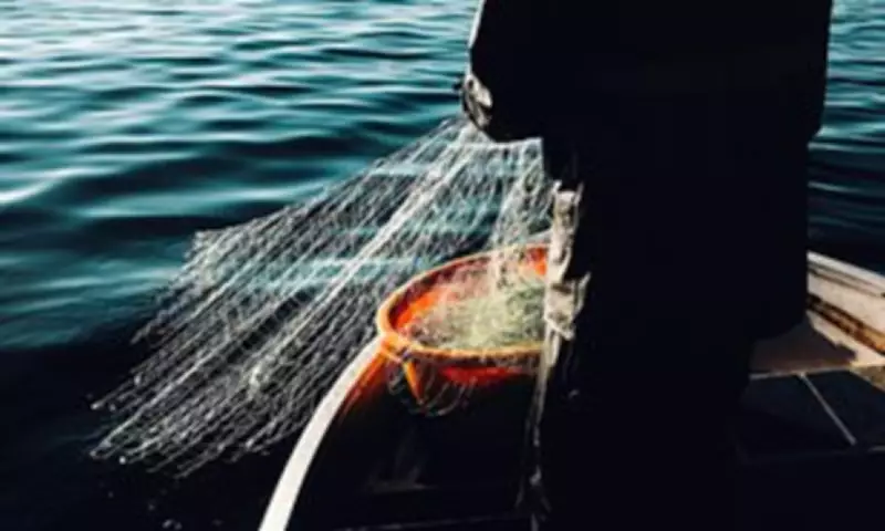 Scotland Imposes £10k Per Fish Fines in Crackdown on Salmon Poaching Crisis