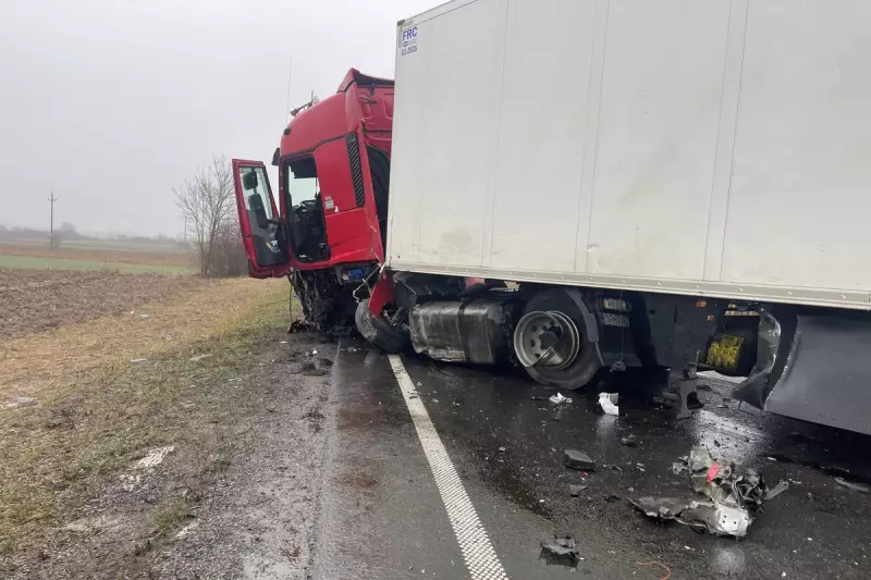Seven PAOK Fans Killed in Tragic Minibus Crash En Route to Europa League Match
