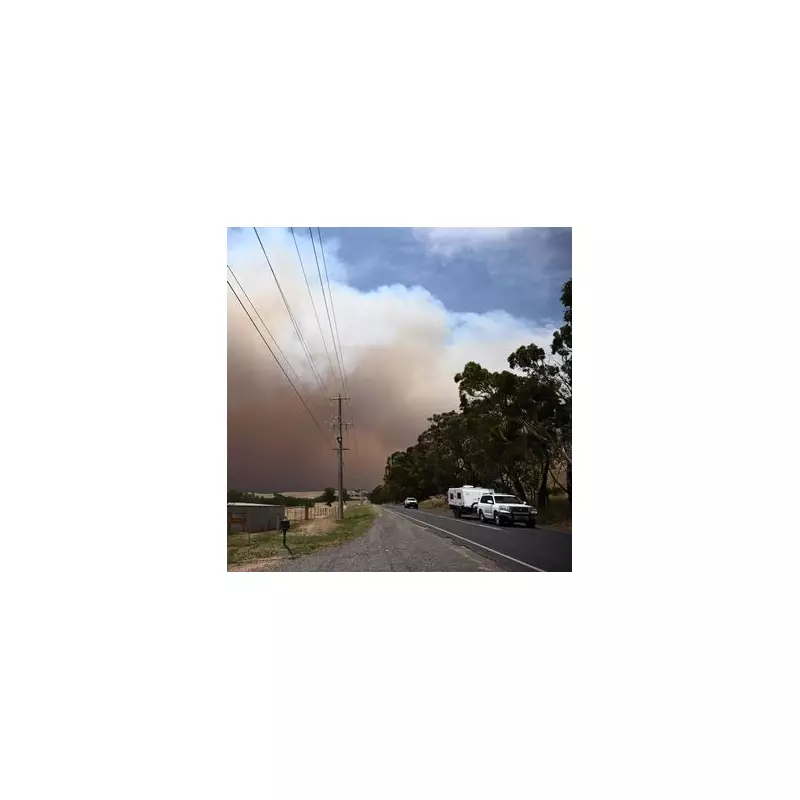 Seven Racehorses Perish as Australian Bushfires Devastate Lindsay Park Stables