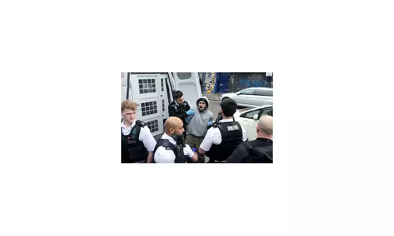 Sex offender mistakenly freed from prison admits to burglary and knife crime