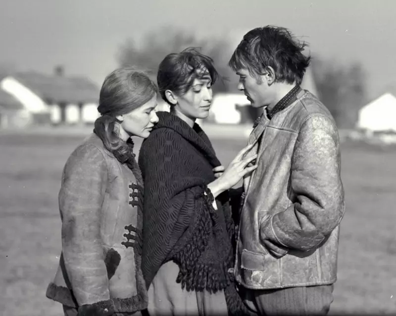 Silence and Cry: Jancsó's 1968 Hungarian Masterpiece of Political Trauma