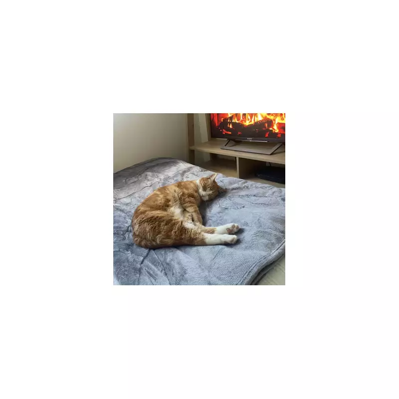 Silentnight's Self-Heating Blanket Drops to £23.74: A Cost-Free Way to Stay Warm