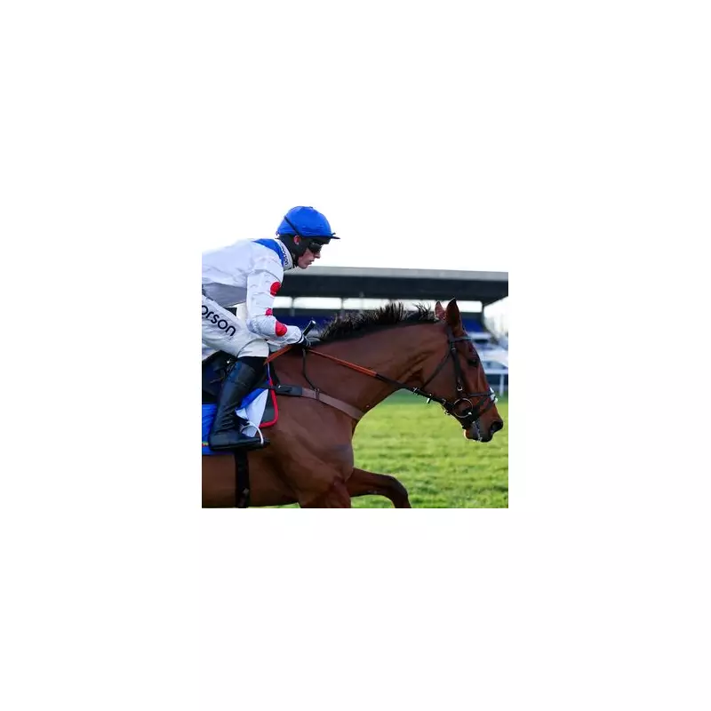 Sir Alex Ferguson's Racing Tragedy as Star Horse Kalif Du Berlais Dies at Kempton