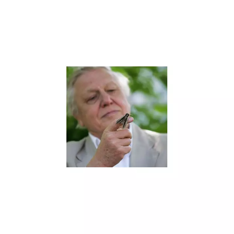 Sir David Attenborough's Garden Skull Solves 131-Year-Old Victorian Murder Mystery