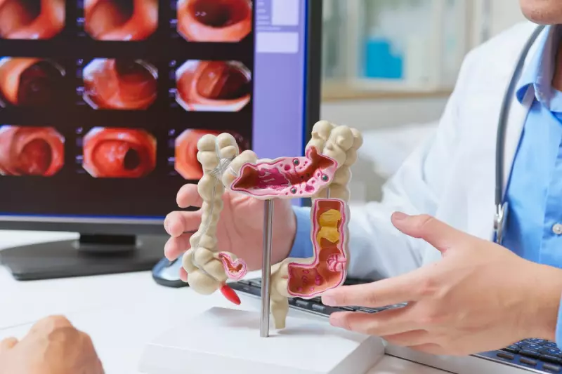 Six Modifiable Risks Linked to 41.7% of Global Cancer Deaths, Study Reveals