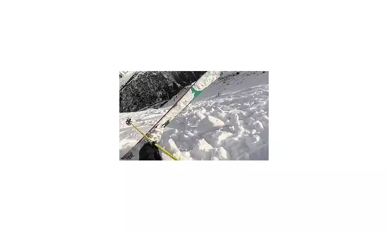 Skier and Dog Miraculously Survive Terrifying Alpine Avalanche