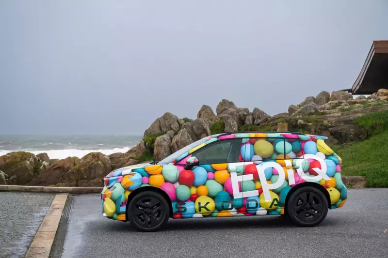 Skoda Executive Warns European Buyers: Many Chinese EV Brands May Vanish