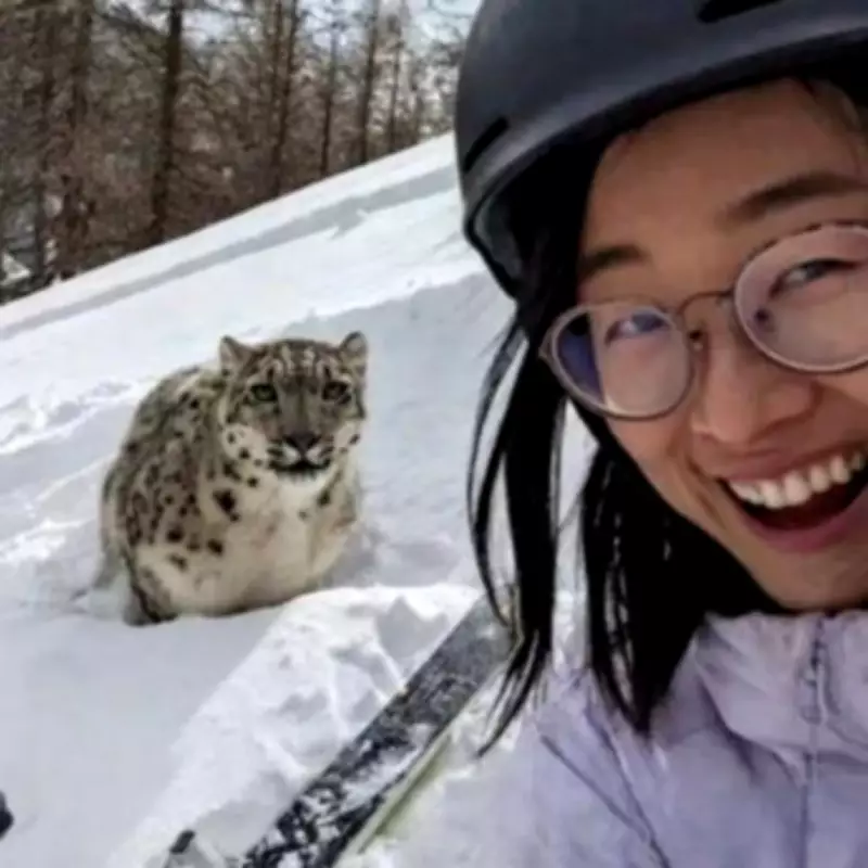 Snow Leopard's Savage Pounce Captured in Tourist's Final Selfie Before Attack