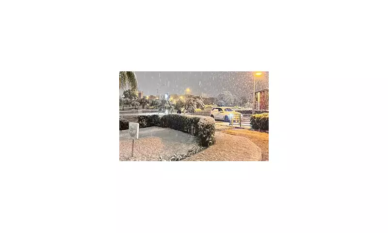 Snowfall in Oujda: Moroccan City Sees First Major Snow in 25 Years