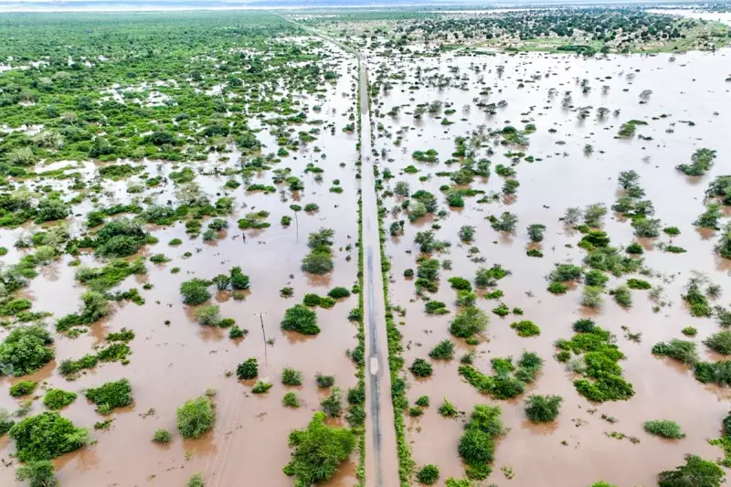 Southern Africa Floods: Over 100 Dead, Kruger Park Devastated