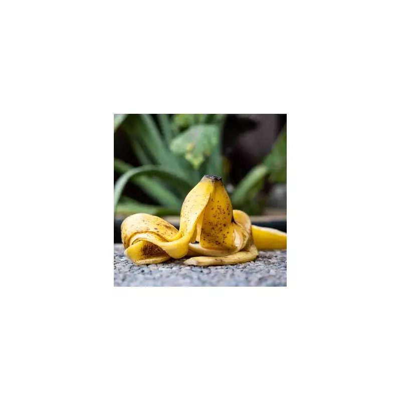 Stop Bin Banana Skins: January Gardening Hack Reveals Their Secret Power