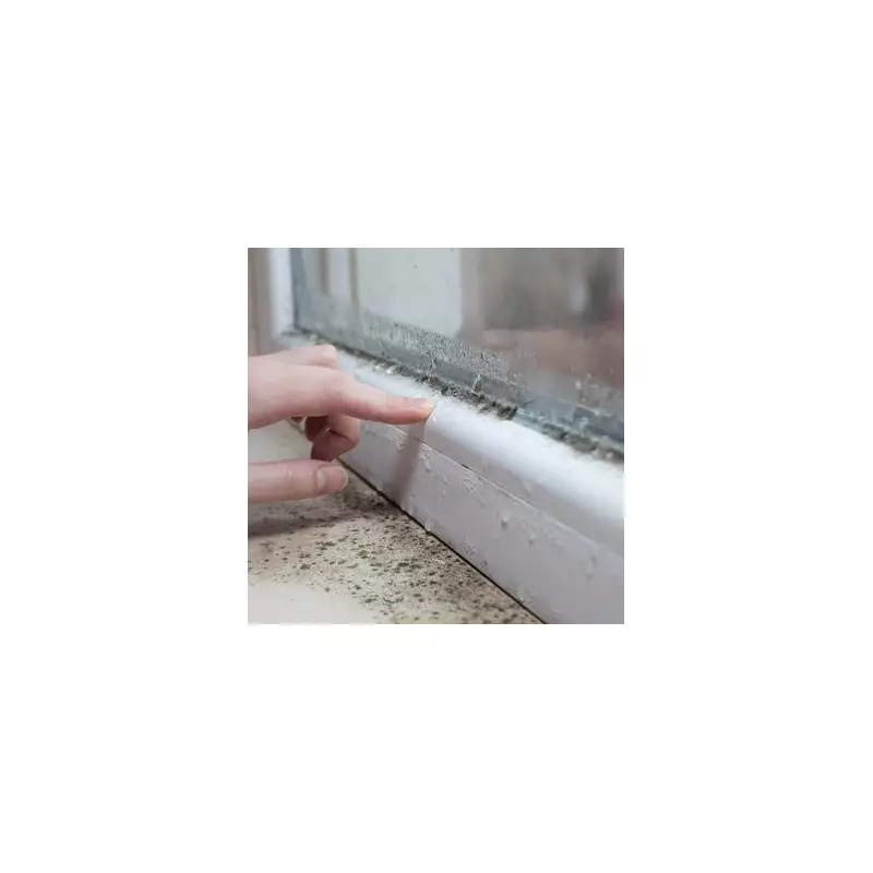 Stop Window Condensation with a £1 Hack and 5 Expert Tips