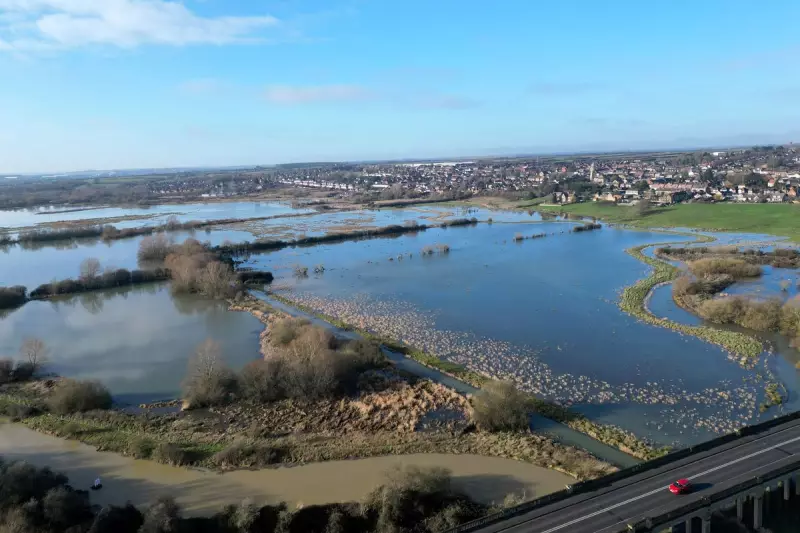 Storm Chandra Aftermath: Lorry Driver Dies in New Forest River Crash