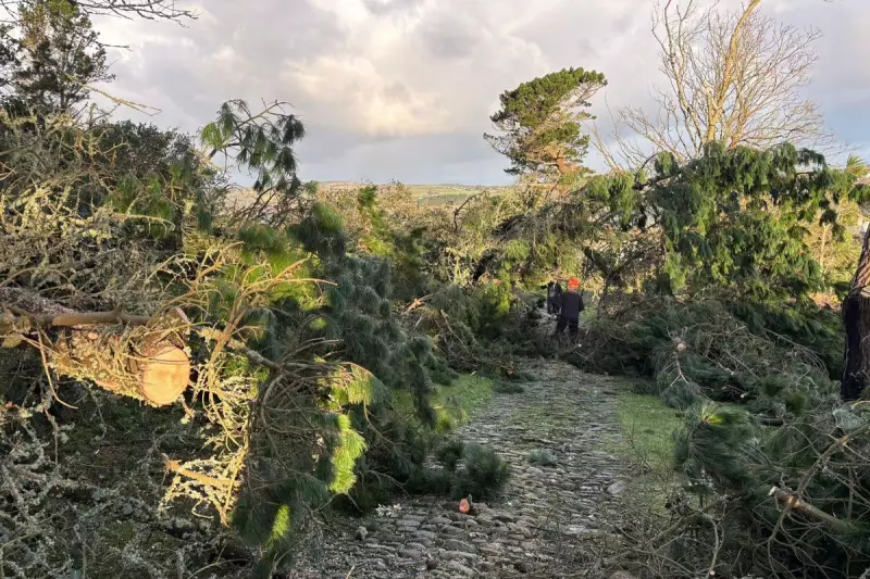 Storm Goretti Devastates St Michael's Mount: Over 80 Trees Felled by 111mph Winds