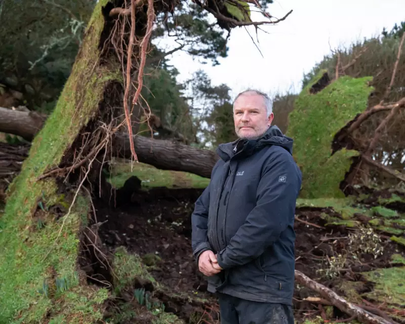 Storm Goretti Ravages Cornwall: St Michael's Mount Loses 80% of Trees