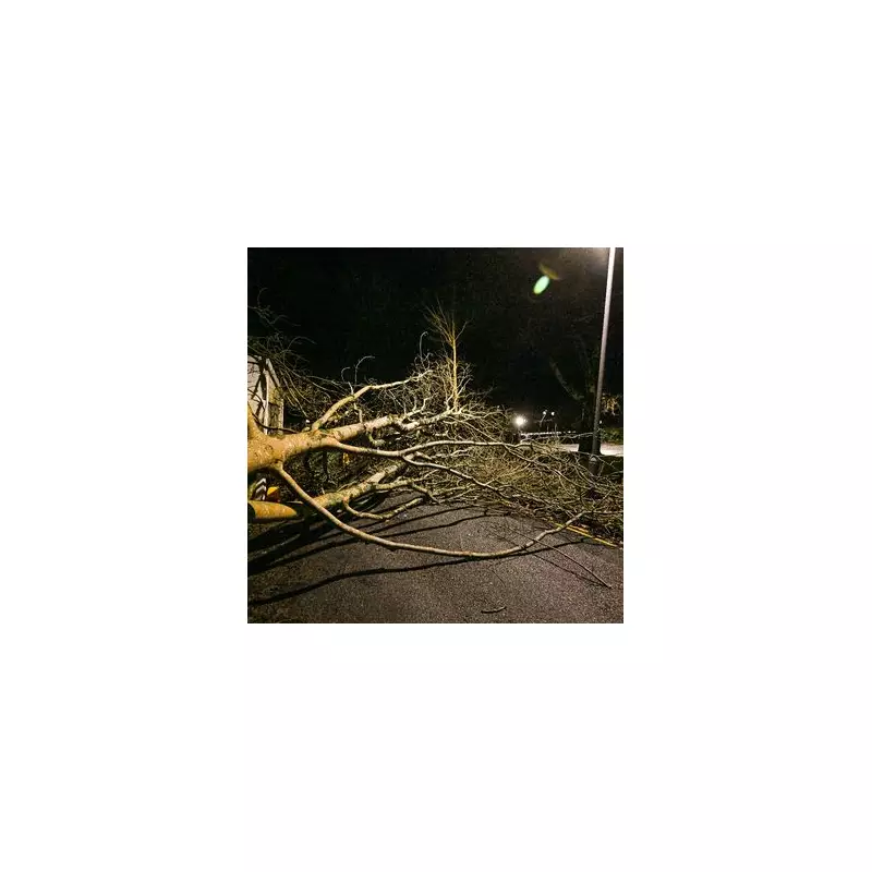 Storm Goretti Unleashes 123mph Winds, Red Warning Issued for Cornwall