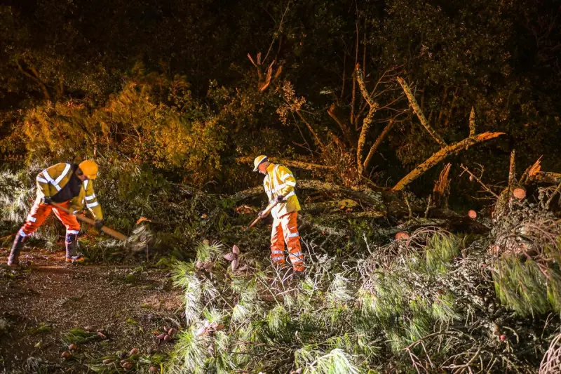 Storm Goretti Unleashes Havoc: 57,000+ Without Power, Travel Chaos