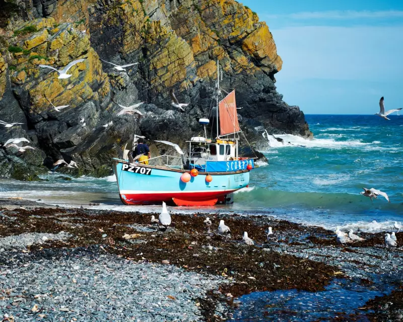 Supermarkets Urged to Boost UK Health and Economy with Local Fish