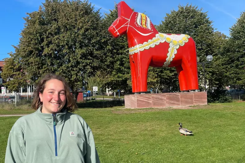 Swap Spain's Camino for Sweden's Romboleden: A Cooler, Quieter Pilgrimage