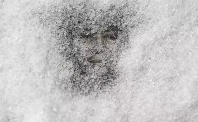 Sweet Thing: Reconstructing a Family History Severed by Slavery in Cuba