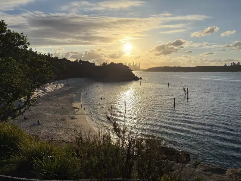 Sydney Shark Attack: 12-Year-Old Boy in Critical Condition After Vaucluse Beach Bite