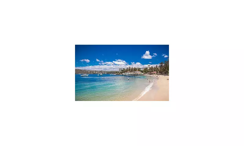 Sydney Shark Attack: Swimmer Critically Injured at Manly Beach