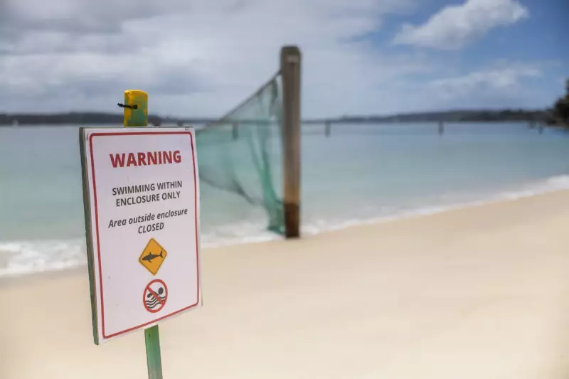 Sydney Shark Attacks: Man and Boy Critical After Three Strikes in 24 Hours